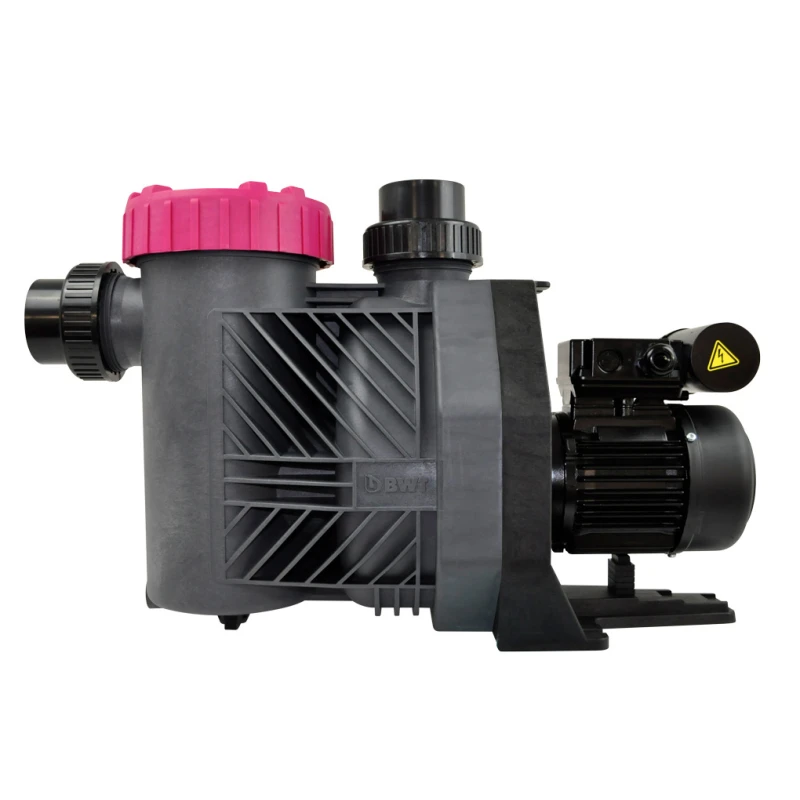 Bomba De Filtración BWT Eurostar HF II 4 Bomba De Filtración BWT Eurostar HF II - Imagen 2