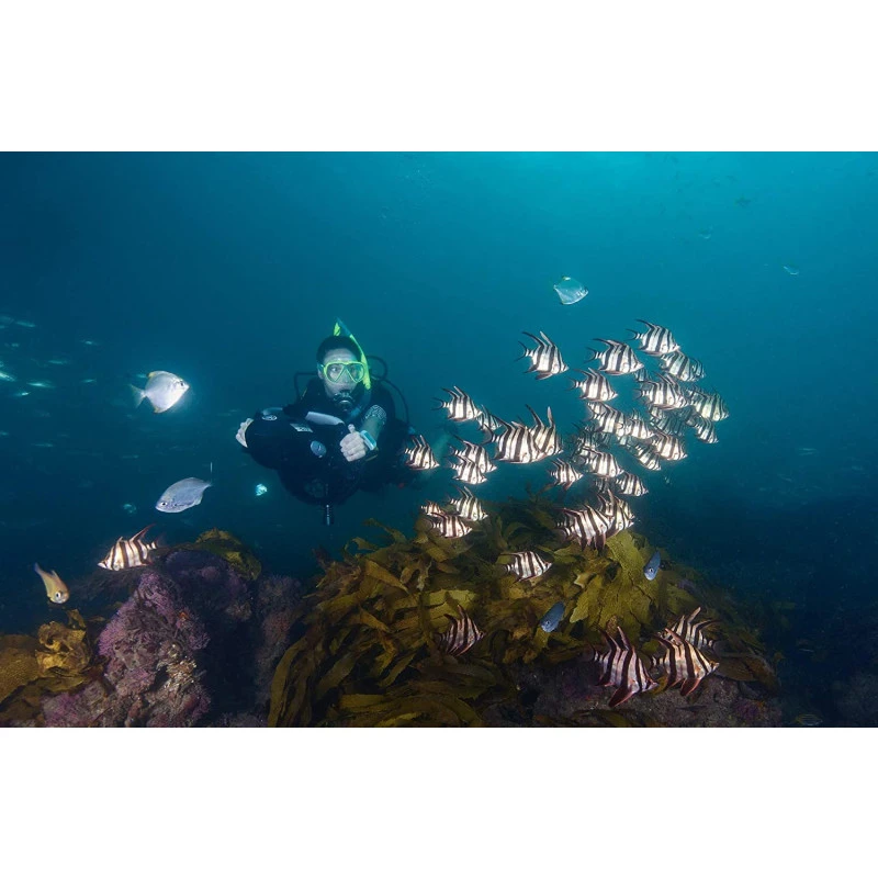 Propulsor Yamaha Seascooter RDS280 5 Propulsor Yamaha Seascooter RDS280 - Imagen 3