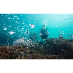 Propulsor Yamaha Seascooter RDS280 17 Propulsor Yamaha Seascooter RDS280 -Piscinas Serie Tienda propulsor yamaha seascooter rds280 buceadores