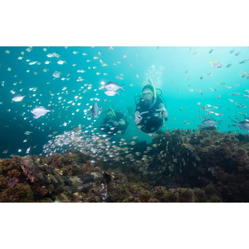 Propulsor Yamaha Seascooter RDS280 10 Propulsor Yamaha Seascooter RDS280 - Imagen 8