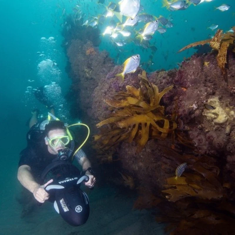 Propulsor Yamaha Seascooter RDS280 4 Propulsor Yamaha Seascooter RDS280 - Imagen 2